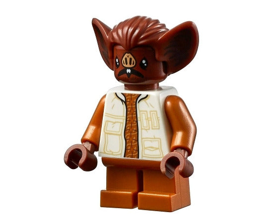 Lego Kabe 75290 Star Wars Minifigure